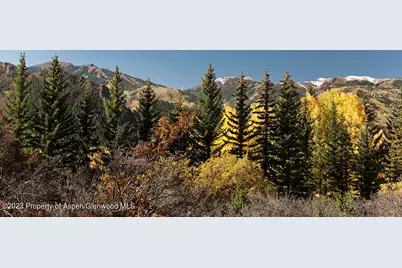 1036 Red Mountain Road, Aspen, CO 81611 - Photo 34