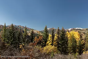 1036 Red Mountain Rd, Aspen, CO 81611 - Photo 34