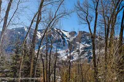 1036 Red Mountain Road, Aspen, CO 81611 - Photo 22