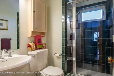 208 Grange Lane, Carbondale, CO 81623 - Photo 18