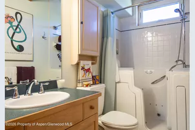 208 Grange Lane, Carbondale, CO 81623 - Photo 16