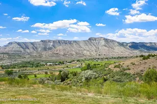 223 Eagle Ridge Dr, Parachute, CO 81635 - Photo 32
