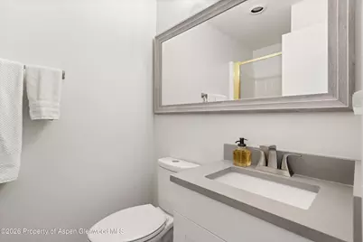 100 E Dean Street #1d, Aspen, CO 81611 - Photo 16