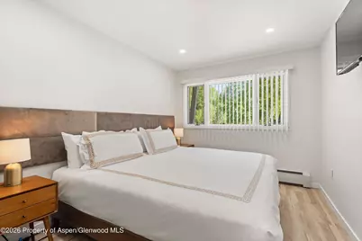 100 E Dean Street #1d, Aspen, CO 81611 - Photo 14