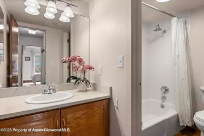 100 Midland Avenue #106, Basalt, CO 81621 - Photo 10