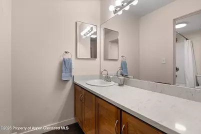 100 Midland Avenue #106, Basalt, CO 81621 - Photo 8