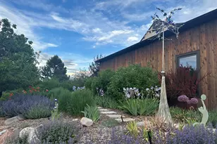 640 Lincoln Ave, Carbondale, CO 81623 - Photo 4