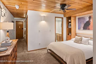 301 E Hyman Avenue #202, Aspen, CO 81611 - Photo 2