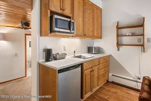 301 E Hyman Ave, Aspen, CO 81611 - Photo 6
