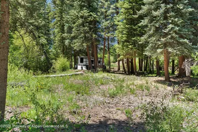 1645 Capitol Creek Road, Snowmass, CO 81654 - Photo 66