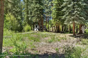 1645 Capitol Creek Rd, Snowmass, CO 81654 - Photo 68