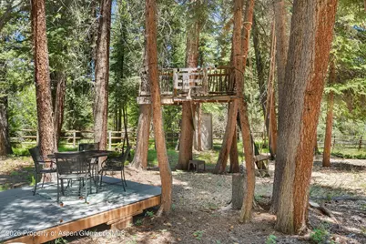 1645 Capitol Creek Road, Snowmass, CO 81654 - Photo 62