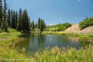 1645 Capitol Creek Rd, Snowmass, CO 81654 - Photo 58