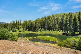 1645 Capitol Creek Rd, Snowmass, CO 81654 - Photo 32