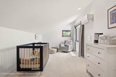 450 Solar Way, Aspen, CO 81611 - Photo 28