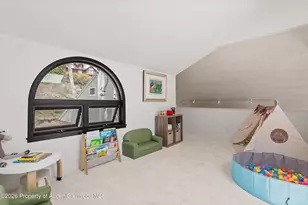 450 Solar Way, Aspen, CO 81611 - Photo 26