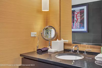 130 Wood Road #736, Snowmass Village, CO 81615 - Photo 14