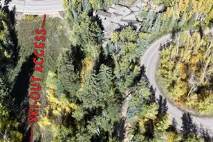 163 Spruce Ridge Ln, Snowmass Village, CO 81615 - Photo 48