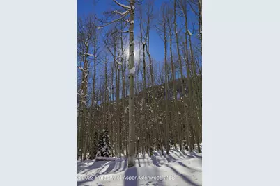640 S Hayden Road, Aspen, CO 81611 - Photo 36