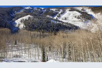640 S Hayden Road, Aspen, CO 81611 - Photo 28