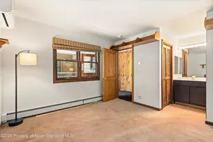 610 S West End St, Aspen, CO 81611 - Photo 8