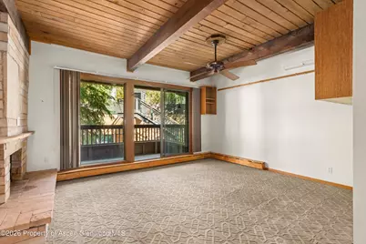 610 S West End Street #J202, Aspen, CO 81611 - Photo 2