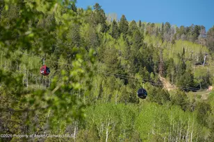 610 S West End St, Aspen, CO 81611 - Photo 12