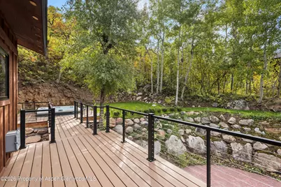 314 Mountain Laurel Drive, Aspen, CO 81611 - Photo 36