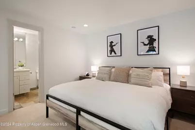 314 Mountain Laurel Drive, Aspen, CO 81611 - Photo 20