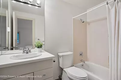 314 Mountain Laurel Drive, Aspen, CO 81611 - Photo 24