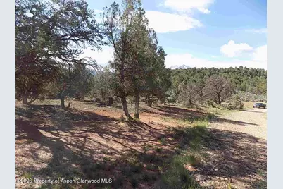Tbd County Road 107, Carbondale, CO 81623 - Photo 4
