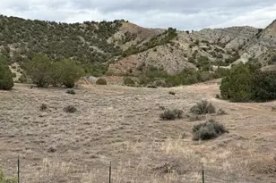1857 County Rd 259, Silt, CO 81652 - Photo 16