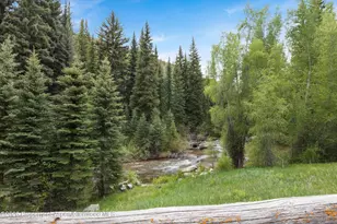 5980 Snowmass Creek Rd, Snowmass, CO 81654 - Photo 14