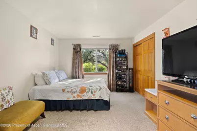85 Meadow Wood Drive #B4, Carbondale, CO 81623 - Photo 8