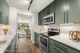 941 Vine St, Aspen, CO 81611 - Photo 4