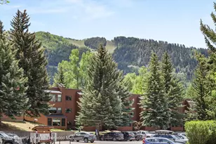 941 Vine St, Aspen, CO 81611 - Photo 10