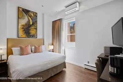 404 S Galena Street #207, Aspen, CO 81611 - Photo 2