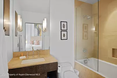 404 S Galena Street #207, Aspen, CO 81611 - Photo 4