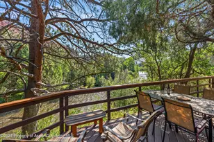 160 Pine St, Carbondale, CO 81623 - Photo 34