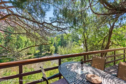 160 Pine Street, Carbondale, CO 81623 - Photo 36