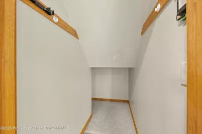 1040 Vito's Way, Carbondale, CO 81623 - Photo 6