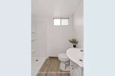 107 Virginia Road, Glenwood Springs, CO 81601 - Photo 16