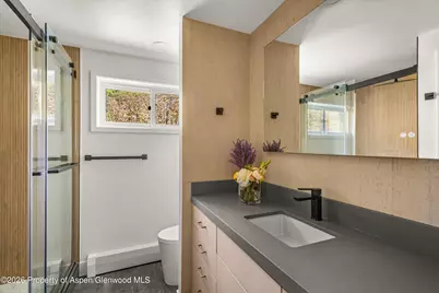 75 Bennett Court, Aspen, CO 81611 - Photo 18