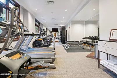 415 E Dean St., Unit 4, Week 32, Aspen, CO 81611 - Photo 24