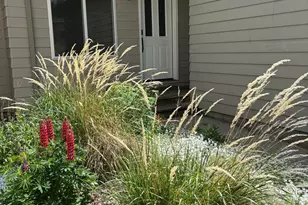 1130 Vito's Way, Carbondale, CO 81623 - Photo 2