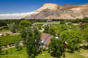3609 G Rd, Palisade, CO 81526 - Photo 56