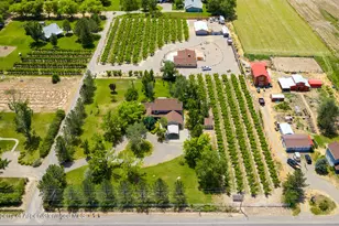 3609 G Rd, Palisade, CO 81526 - Photo 48