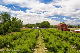 3609 G Rd, Palisade, CO 81526 - Photo 62