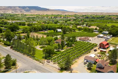3609 G Road, Palisade, CO 81526 - Photo 46