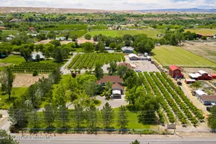 3609 G Rd, Palisade, CO 81526 - Photo 46